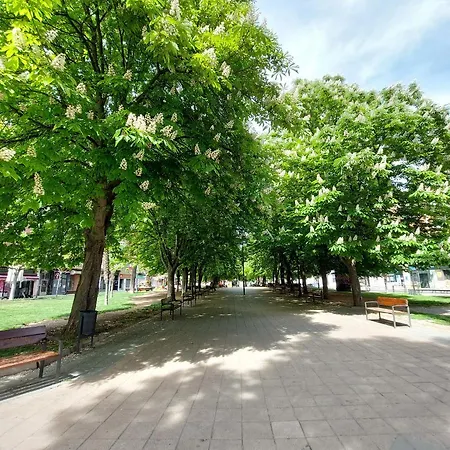 ático ángela Appartamento Valladolid