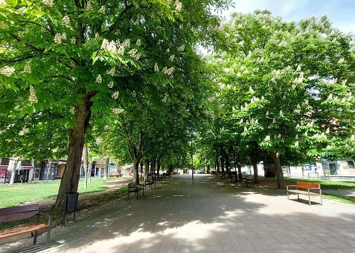 ático ángela Appartamento Valladolid